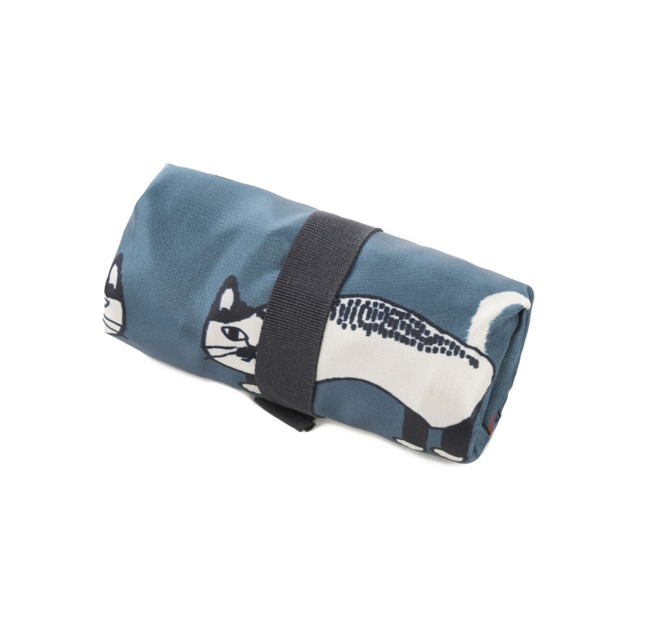 Eco Bag (Blue Green)
