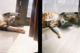 Kodak Ektar H35Half Frame Film Camera