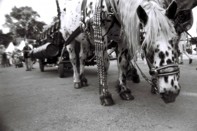 Lomography Lady Grey B&W 35 mm ISO 400 Film (1 Roll)
