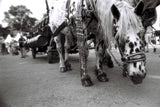 Lomography Lady Grey B&W 35 mm ISO 400 Film (1 Roll)