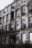 Lomography Lady Grey B&W 35 mm ISO 400 Film (1 Roll)
