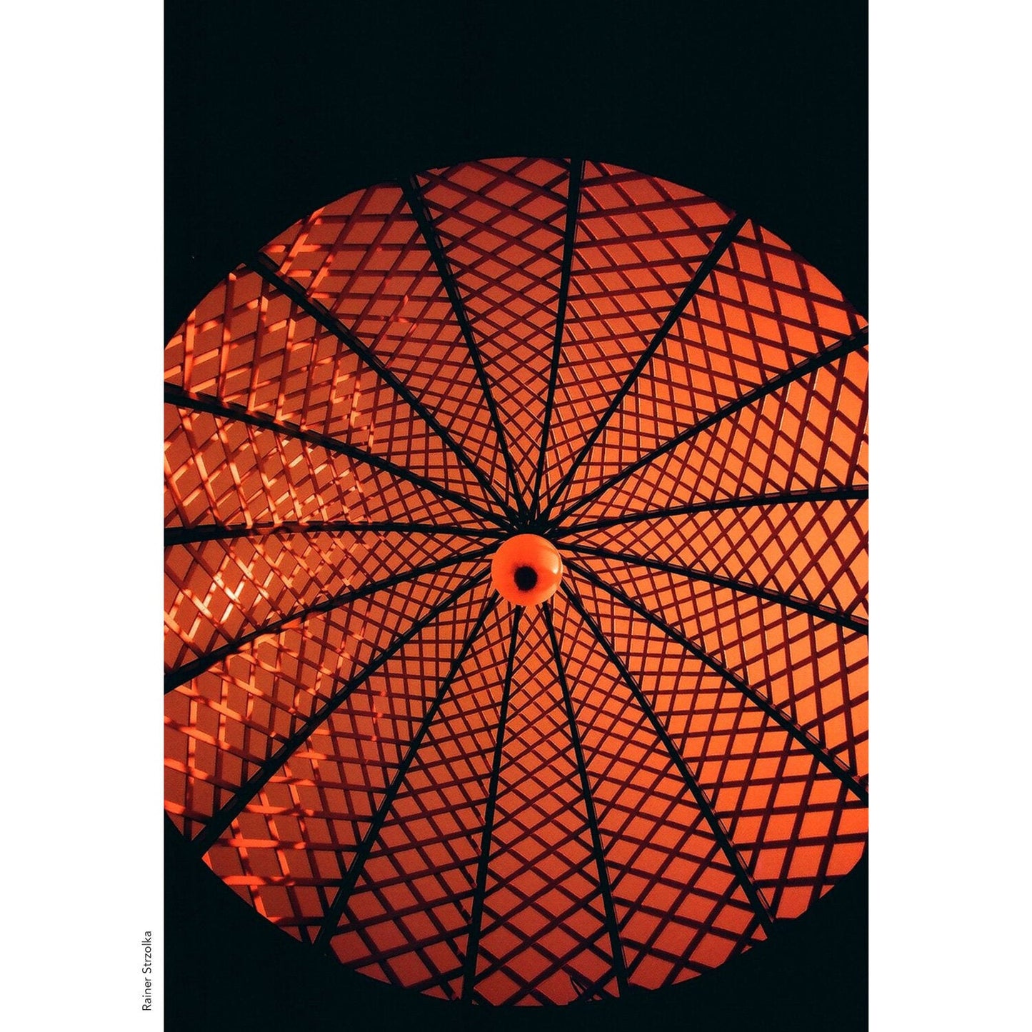 KONO! ROTWILD No2, redscale, 35mm color negative, 36 exp.