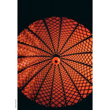 KONO! ROTWILD No2, redscale, 35mm color negative, 36 exp.