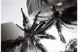 Lomography Simple Use Reloadable Film Camera Black & White