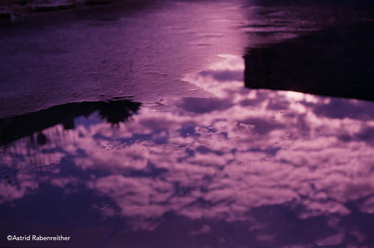 Dubblefilm Bubblegum EXP.36