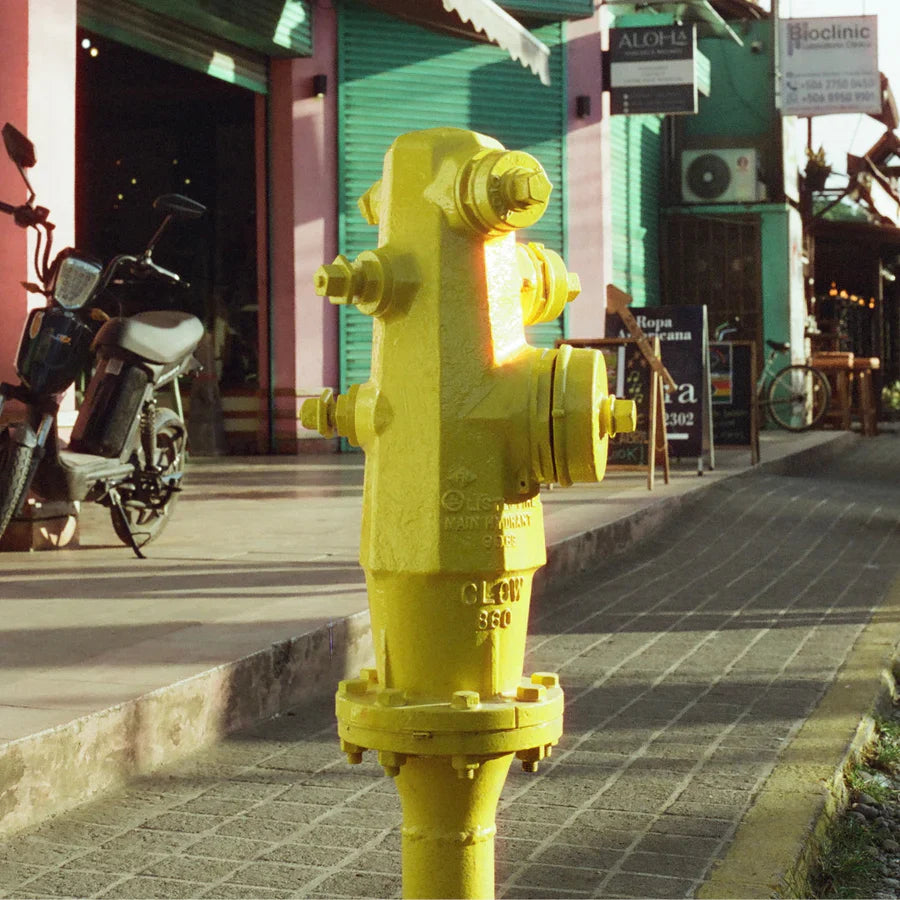 CANDIDO ISO400 Color Film Exp.36