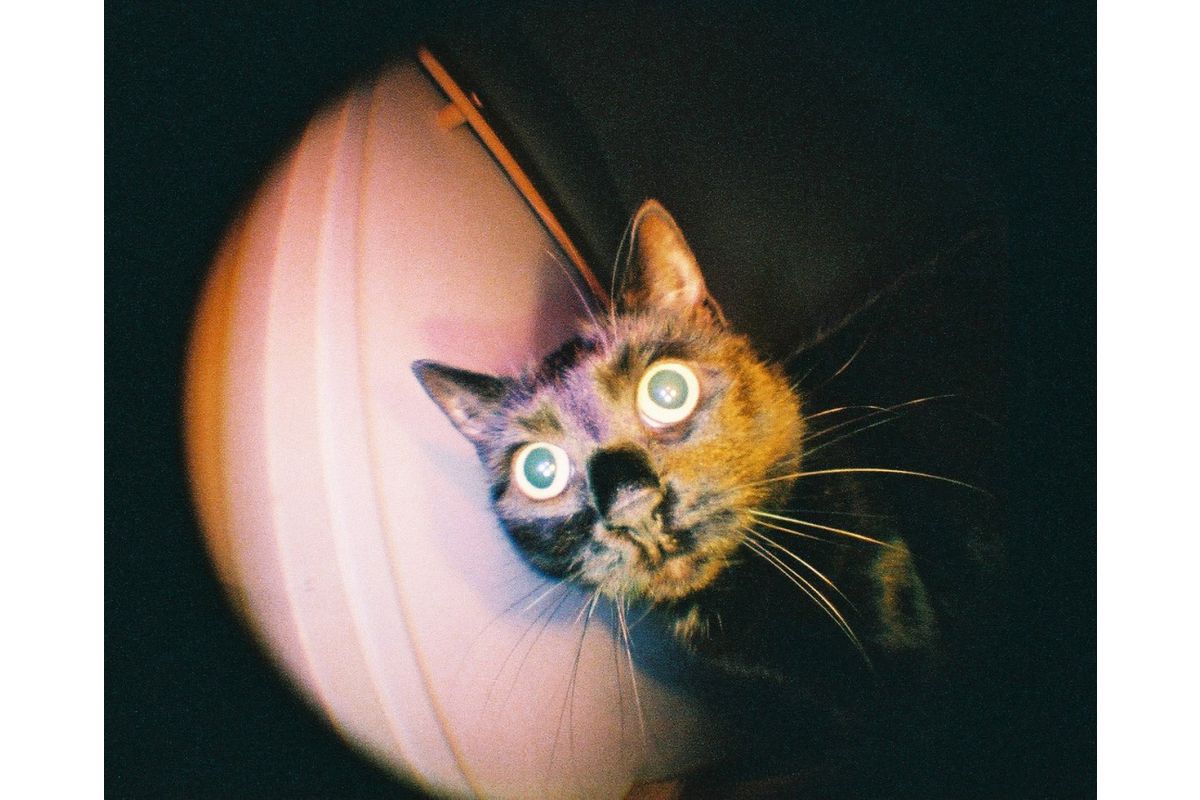 Fisheye Baby Metal Black