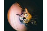 Fisheye Baby Metal Black