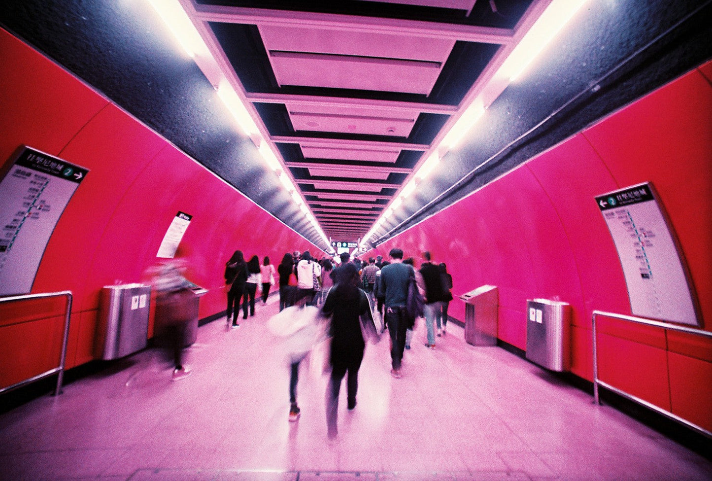 Lomography LomoChrome Purple XR / 135 Film