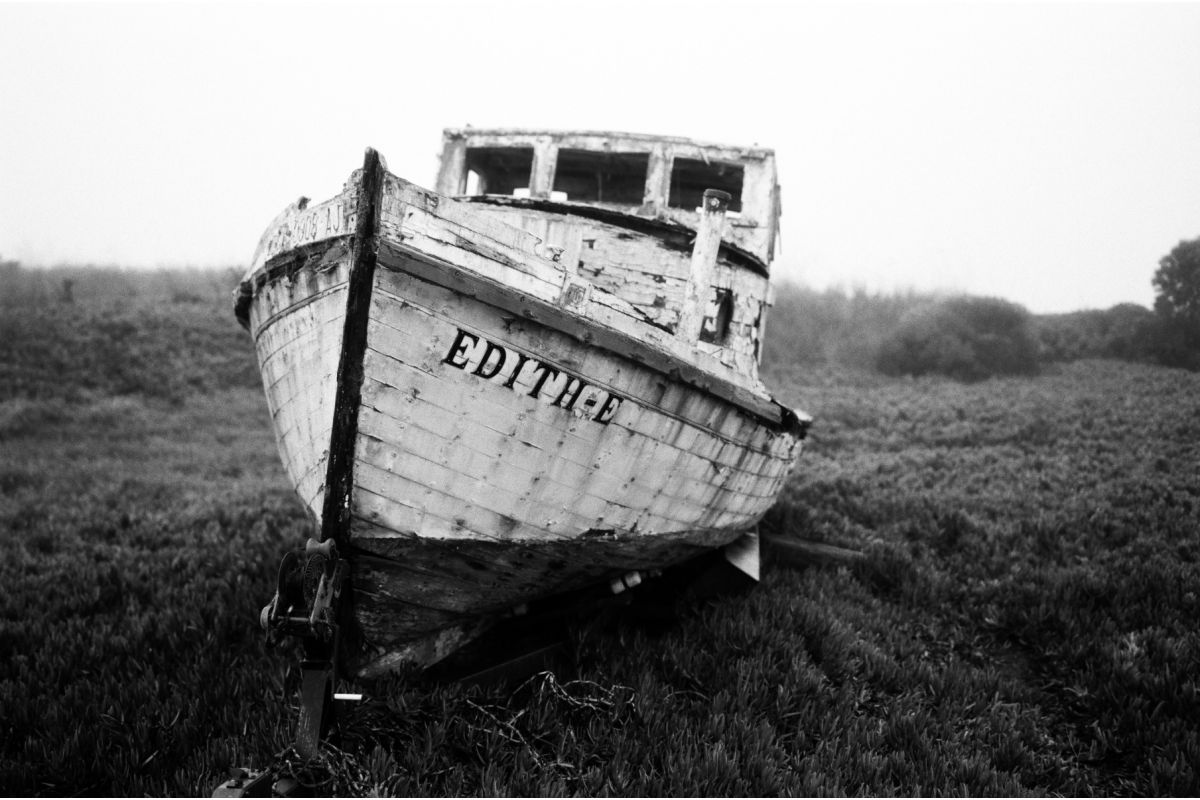 Lomography Earl Grey B&W 35 mm ISO 100 Film (1 Roll)