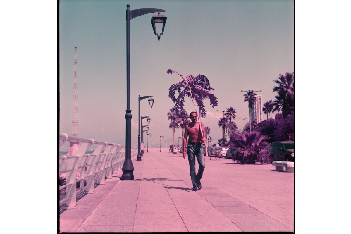 Lomography LomoChrome Purple 120 ISO 100–400 Film