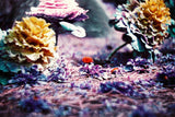 Lomography LomoChrome Purple XR / 135 Film