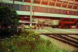VIBE MAX ISO 400 135 27exp.