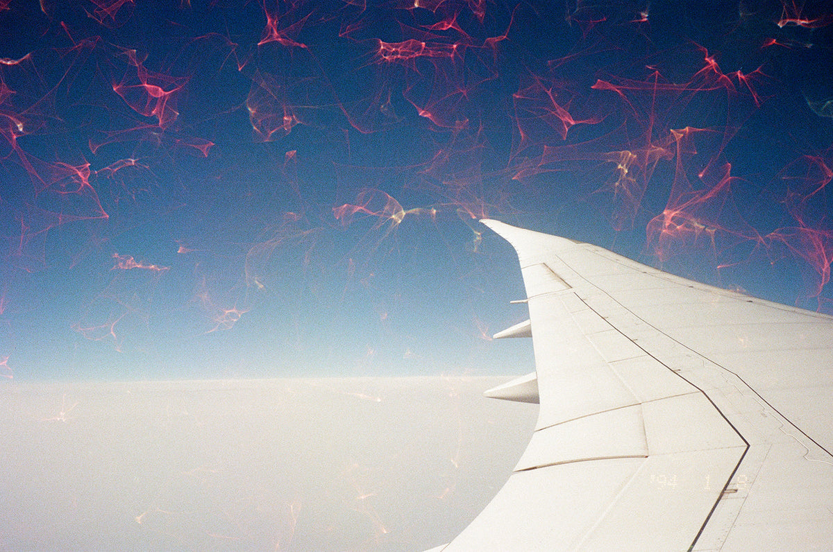 Revolog Echo 400 ISO Exp.36 Film