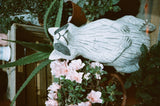 YASHICA Film Sapphire 70s 35mm film ISO 400 Exp.24