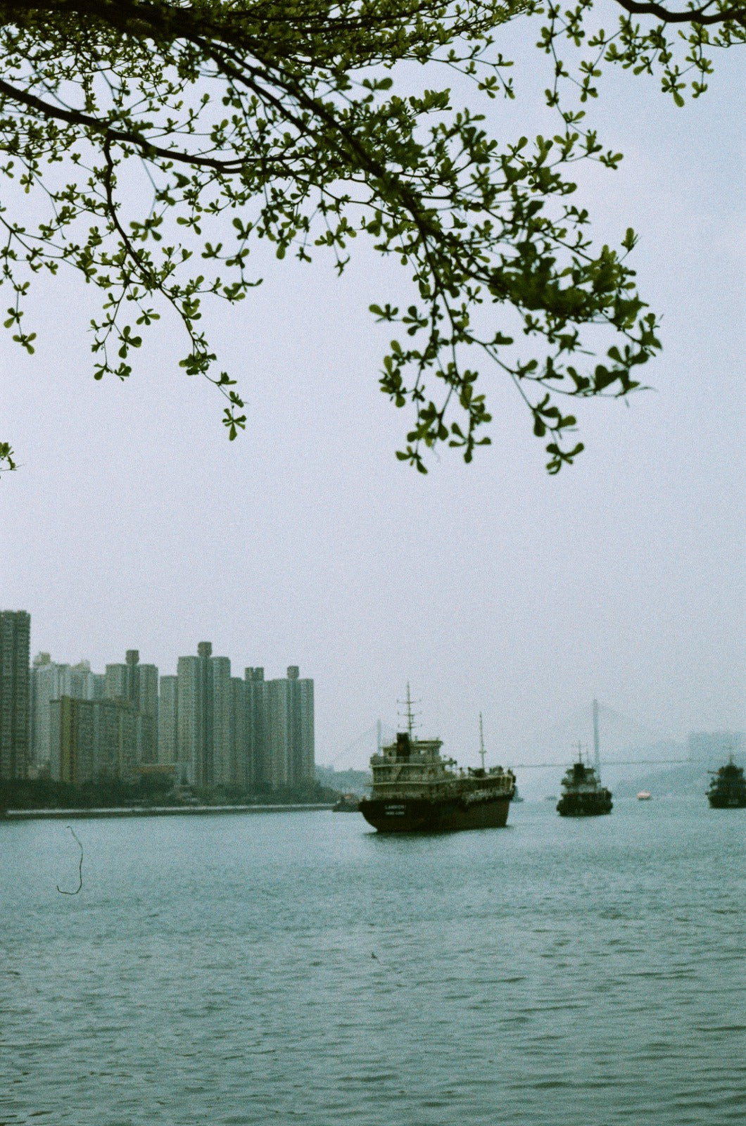 YASHICA Film Sapphire 70s 35mm film ISO 400 Exp.24