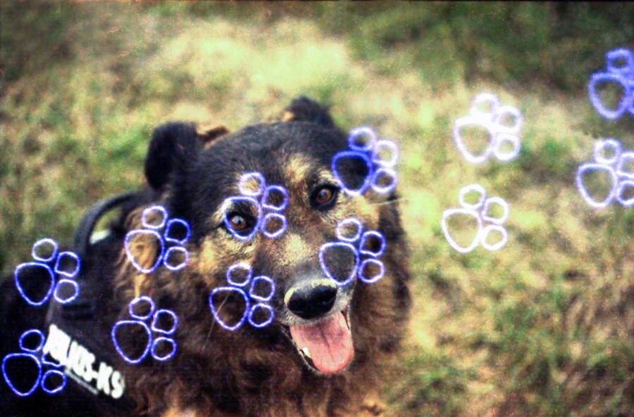 KONO! Effect Films