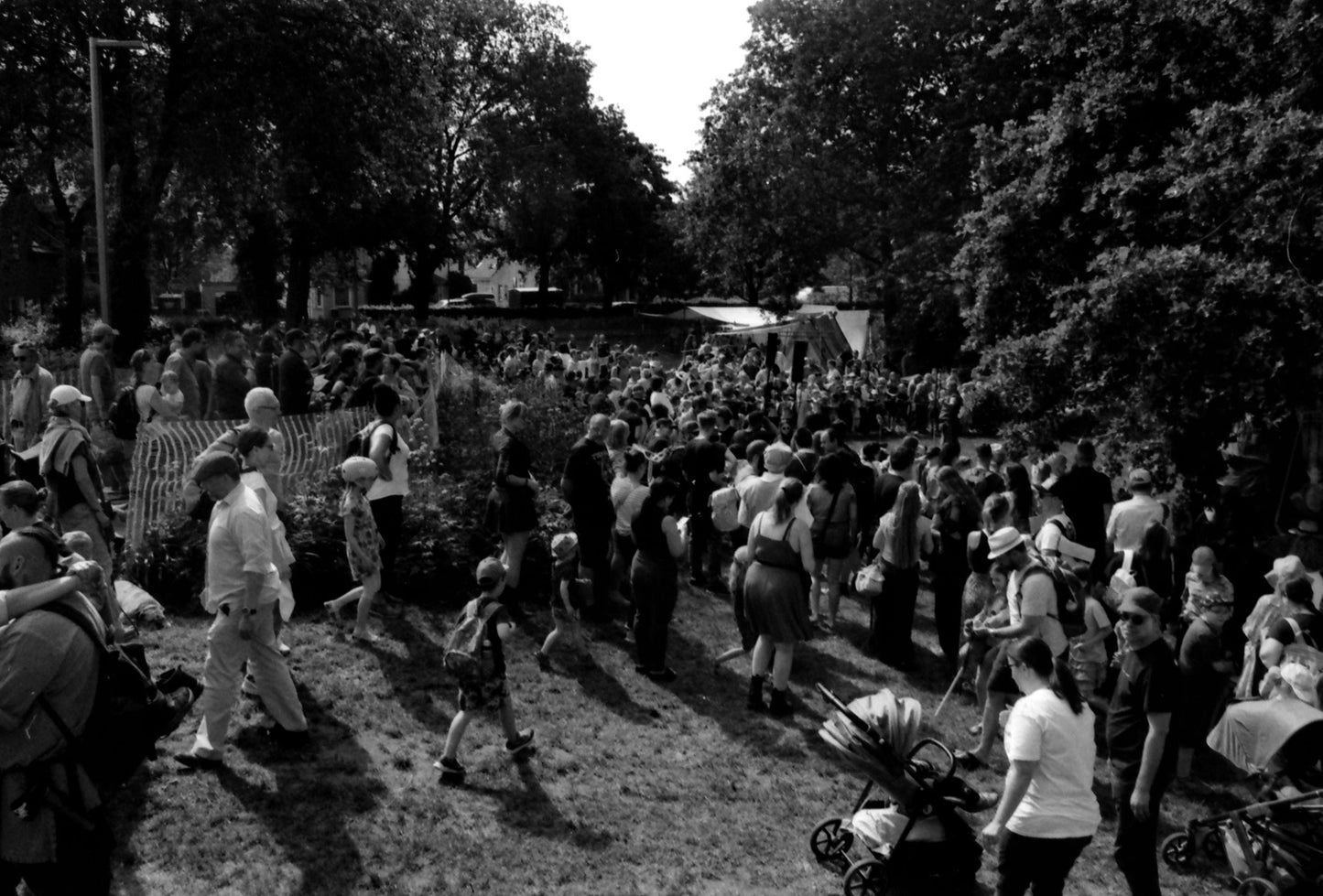 KONO Black and white 400 Film (35mm Roll Film, 36 Exposures, 2-Pack)