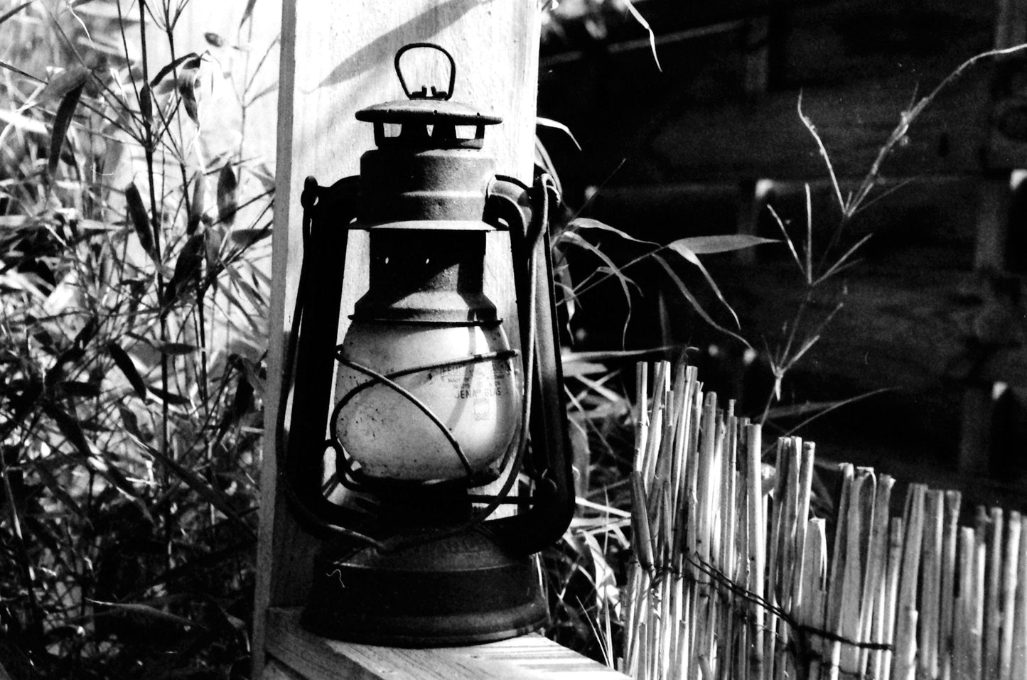 KONO Black and white 400 Film (35mm Roll Film, 36 Exposures, 2-Pack)