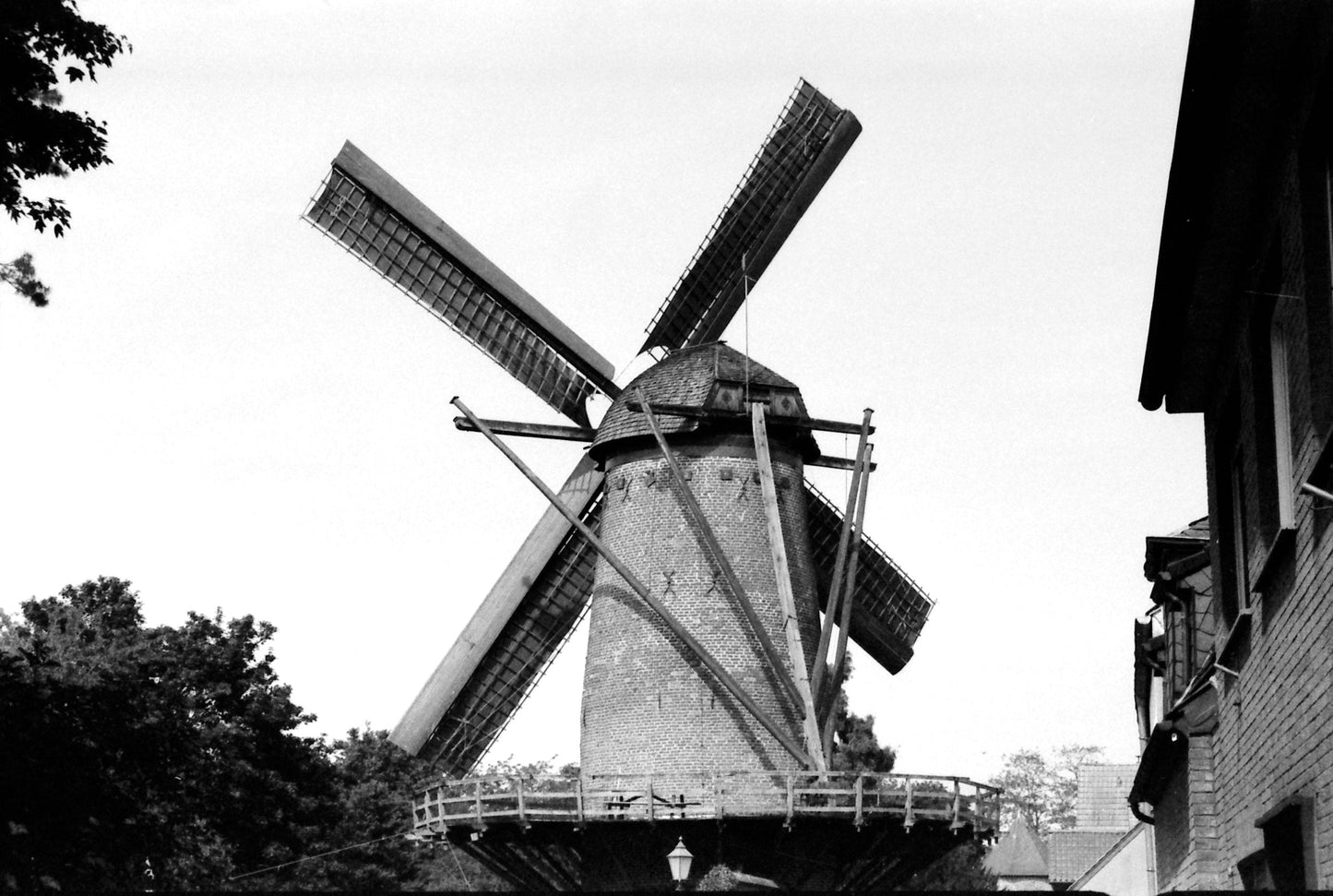 KONO Black and white 400 Film (35mm Roll Film, 36 Exposures, 2-Pack)