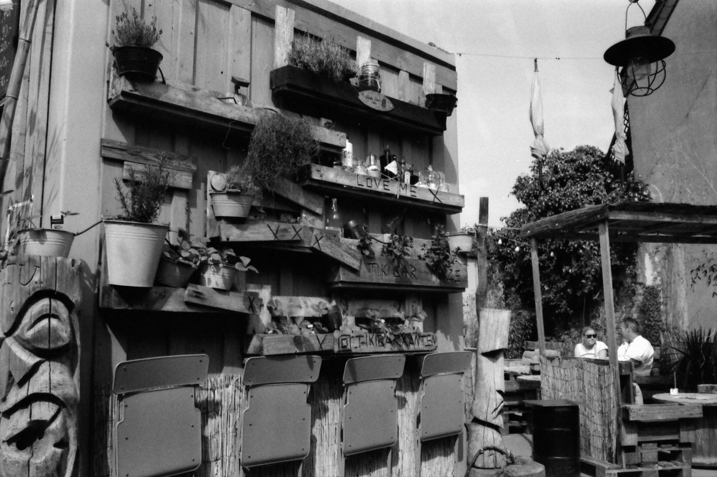 KONO Black and white 400 Film (35mm Roll Film, 36 Exposures, 2-Pack)