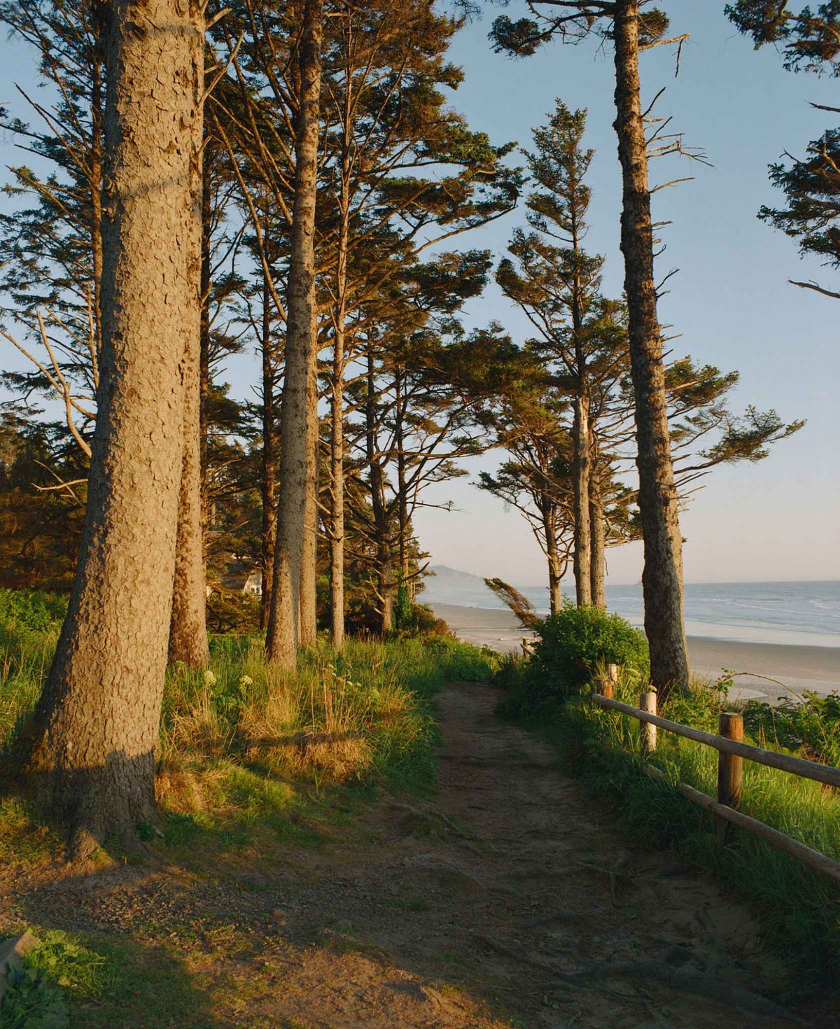 Kodak Ektacolor Pro 800 / 135 - 36exp.