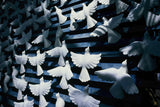 Reflx Lab 100R 35mm Color Reversal Film