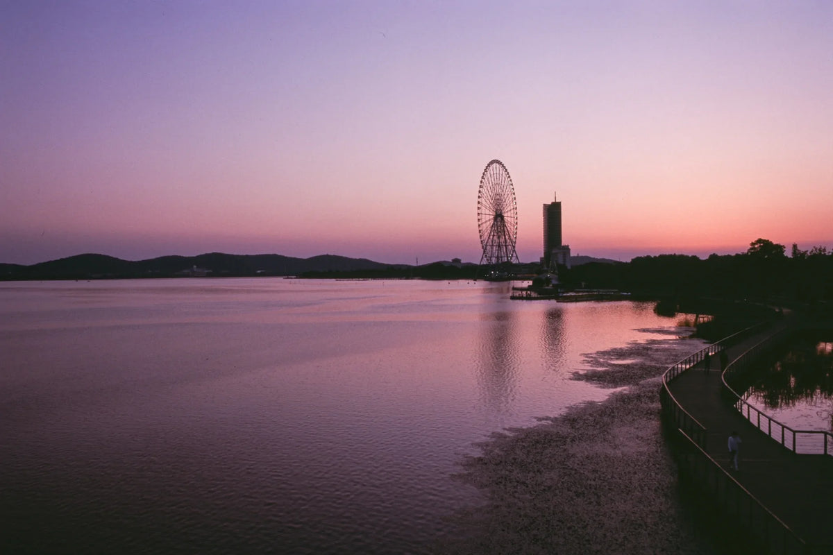 Reflx Lab 100R 35mm Color Reversal Film