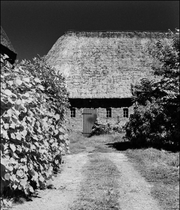 ROLLEI INFRARED ISO400 B&W 36exp.