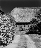 ROLLEI INFRARED ISO400 B&W 36exp.