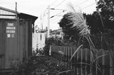 Lucky Pan SHD 400 35mm B&W  36EXP