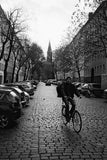 Cinestill BWXX Black & White / 135 - 36exp.