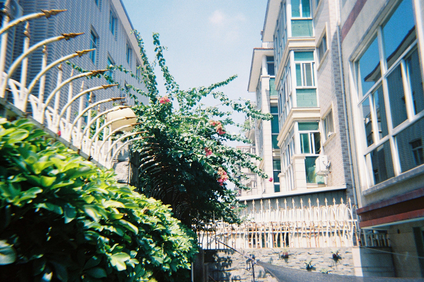 Kodak Film Camera i60