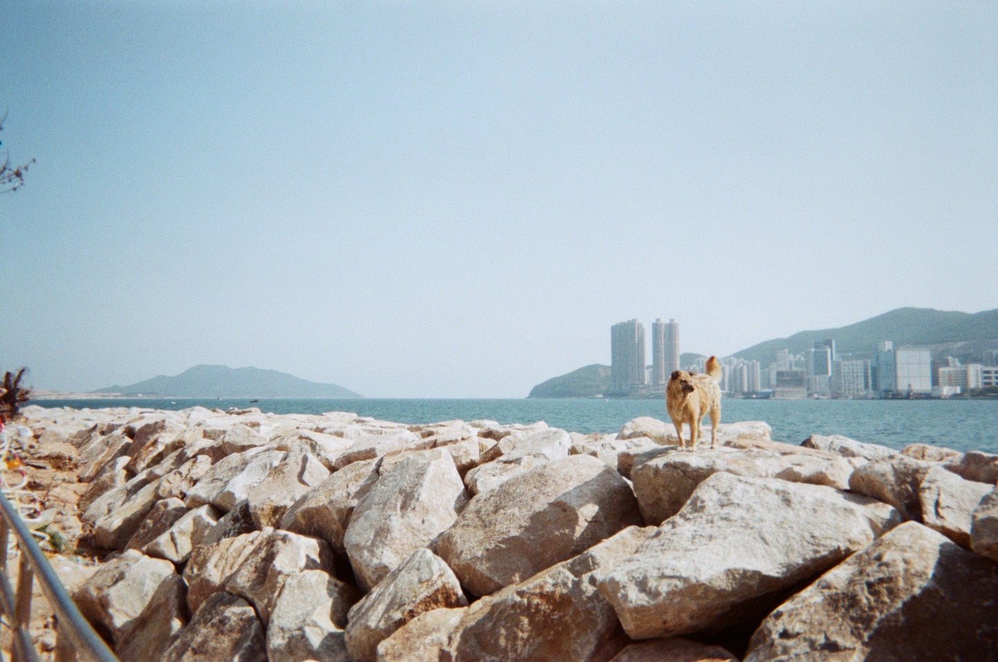 Kodak Portra 160 / 135 - 36 EXP- 1 Roll