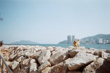 Kodak Portra 160 / 135 - 36 EXP- 1 Roll