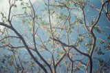 Kodak Portra 160 / 135 - 36 EXP- 1 Roll