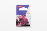 Lomography LomoChrome Purple XR / 135 Film