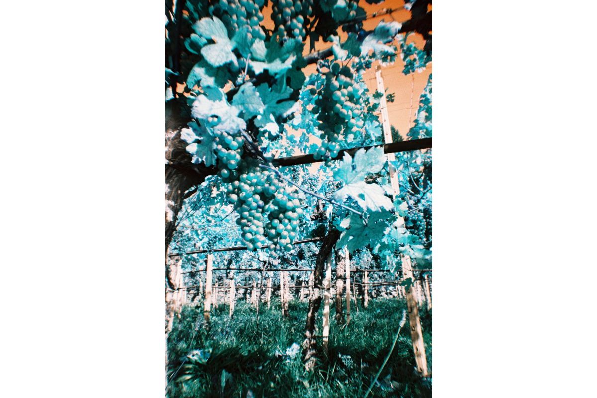 Lomography Simple Use Reloadable Film Camera LomoChrome Turquoise