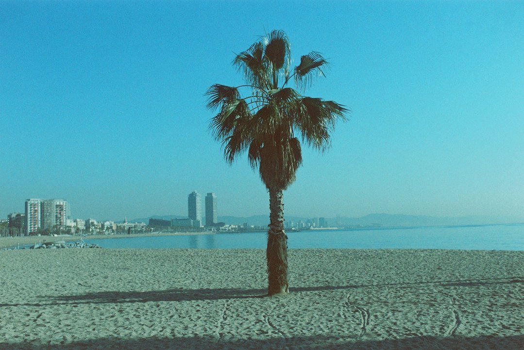 dubblefilm Pacific / 200 ISO / 36 EXP / 135mm / Color Negative