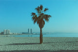 dubblefilm Pacific / 200 ISO / 36 EXP / 135mm / Color Negative