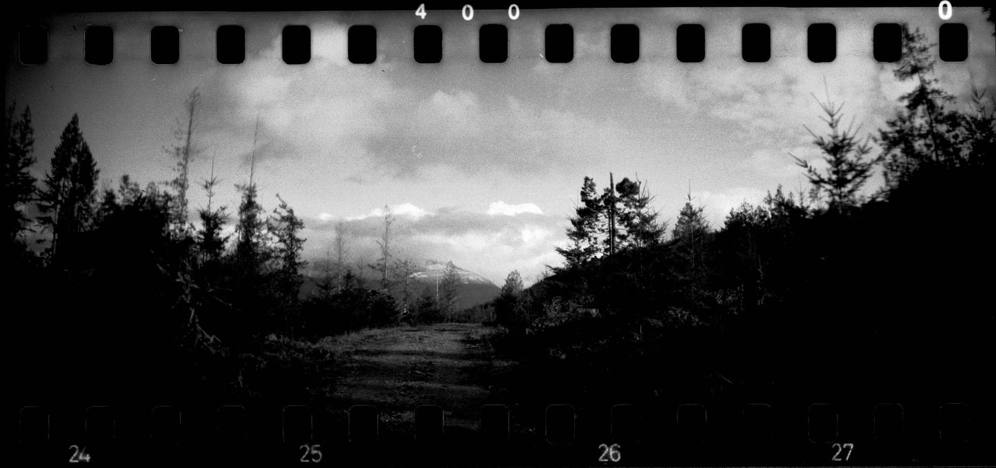 Foma Fomapan 400 ISO Black & White Negative Film