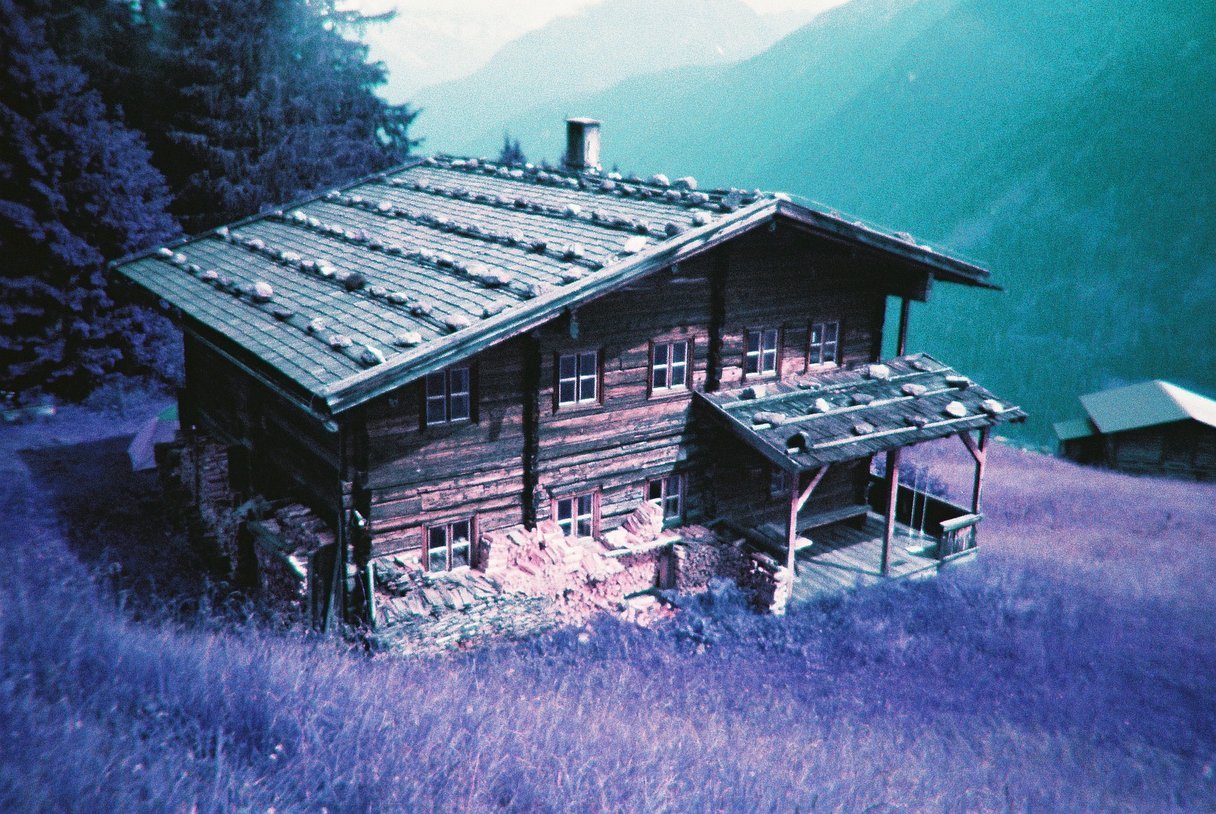 Lost in Purple Psychedelia with Lomography Simple Use Film Camera