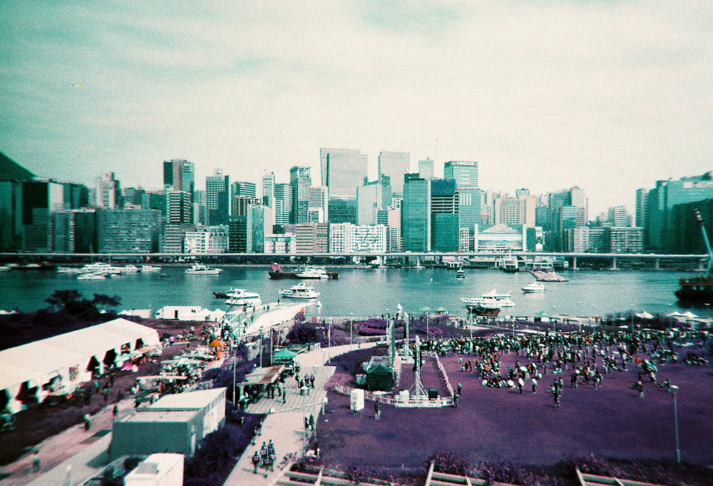 Lost in Purple Psychedelia with Lomography Simple Use Film Camera