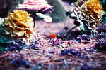 Lomography LomoChrome Purple XR