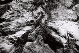 Fantôme Kino B&W ISO 8 低感光度黑白菲林