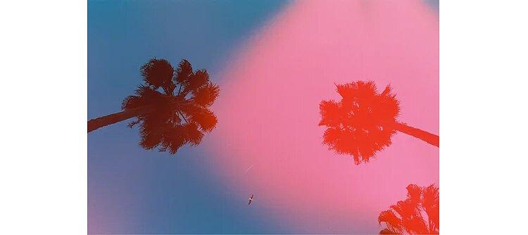 dubblefilm Solar / 200 ISO / 36 EXP / 135mm / Color Negative