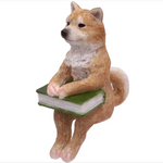 Shiba Sit Up Deco