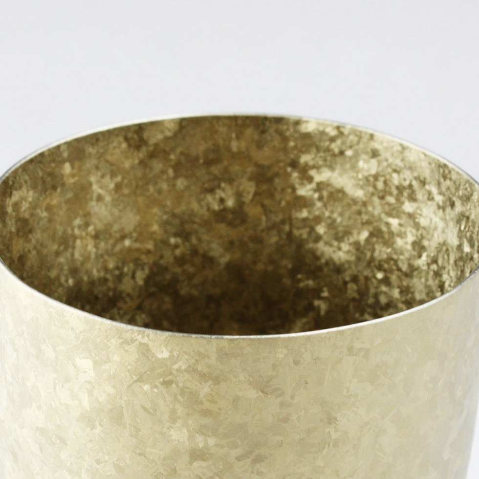 HORIE Double Titanium Tumbler - Japanese Premium Metal Cup (Gold/Silver)