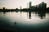Simple Use Reusable Film Camera LomoChrome Metropolis