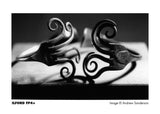 Ilford 135 FP4 125